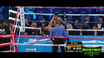 Guillermo Rigondeaux Amazing Speed