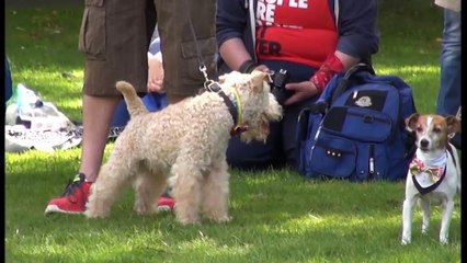 The Lowdown Teesside - 17th August