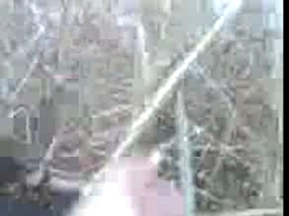 Vidéo124