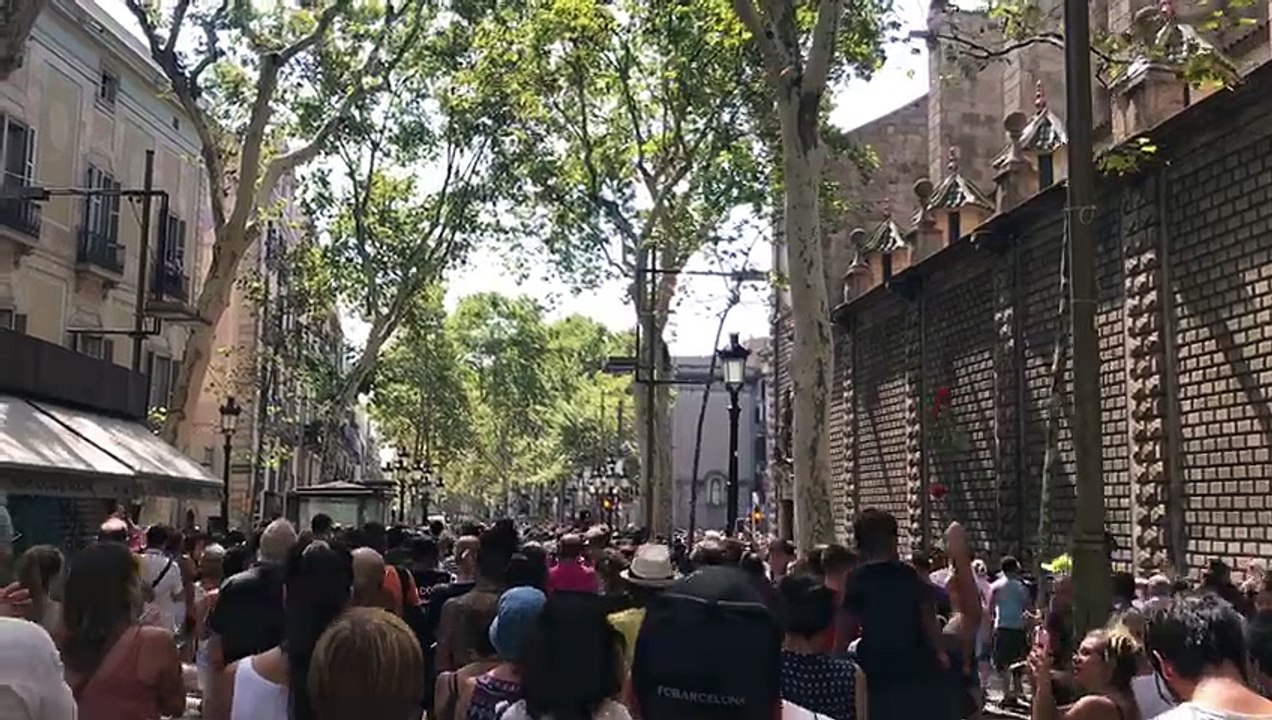 Els manifestants ressegueixen el recorregut que va fer la furgoneta amb crits de 'no tinc por'