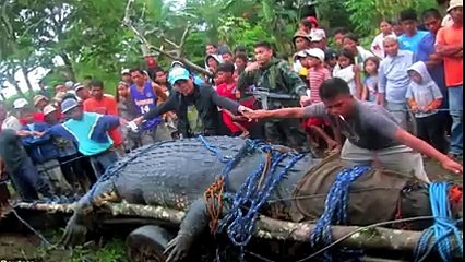 Dünyanın En Büyük Hayvanları