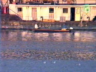 Nada Topcagic - Ako mi srce prepukne