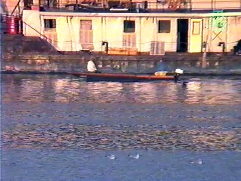 Nada Topcagic - Ako mi srce prepukne