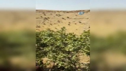 Yakalanan Terörist İtiraf Etti, Güvenlik Kuvvetleri Örgütün Mühimmatlarını Buldu