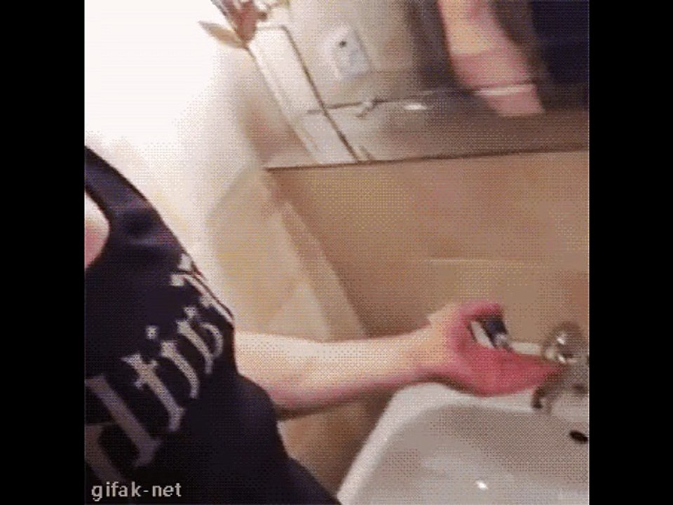 cat shower
