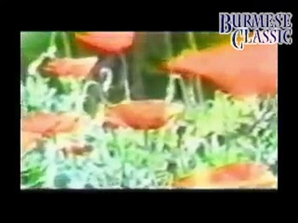 Myanmar Tv   Nay Toe , Kyaw Kyaw , Khine Hnin Wai 28 Oct 2014