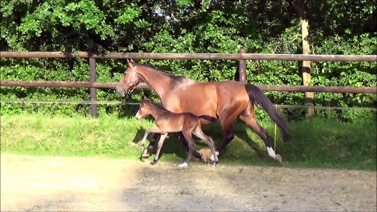 Heazy des Edènes 3 jours
