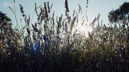 Brad Pitt'in nasıl zengin olduğu ortaya çıktı