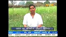 Coriander Seeds # धनिया के औषधीय गुण # Acharya Balkrishna Patanjali Yogpeeth