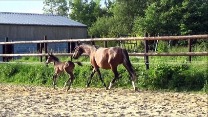 Heazy des Edènes 10 jours