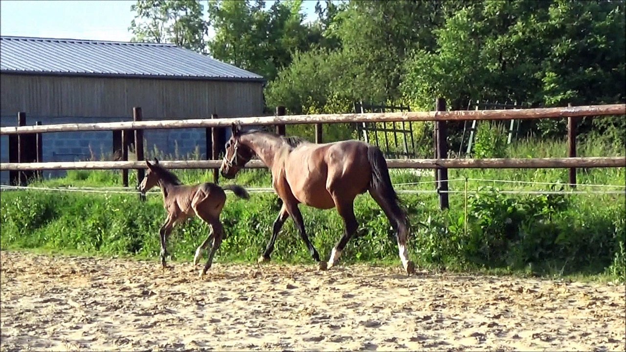 Heazy des Edènes 10 jours