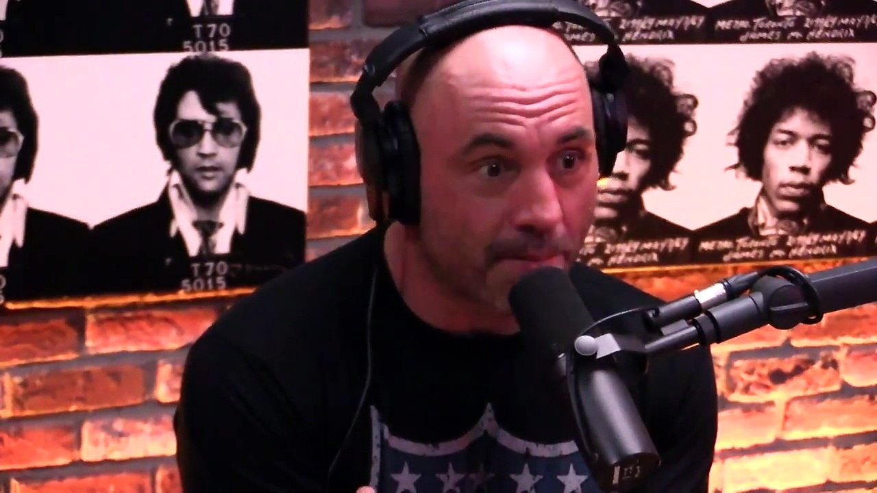 Joe Rogan & Jocko Willink on Jordan Peterson