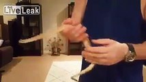 Il manipule un serpent venimeux.. et se fait mordre !!