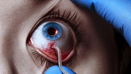 Free Watch ~ The Strain Season 5  Full  Episode 1 (s4 . e1) HD