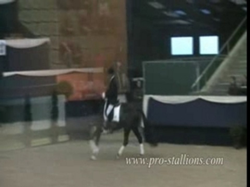 Encore des chevaux xD lol