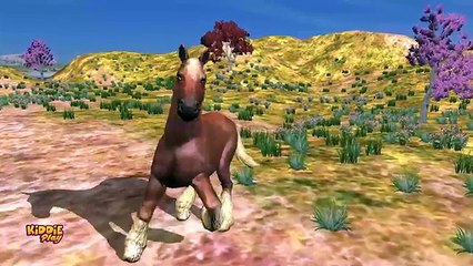 Animals Cartoons Finger Family Children Nursery Rhymes | Animals Finger Family Rhymes for