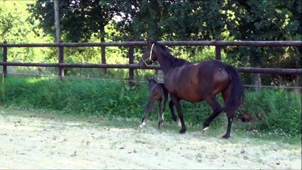 Happy Hand des Edènes 4 et  10j