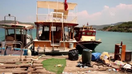 Bodrum'da Dev Orkinos Oltaya Takıldı