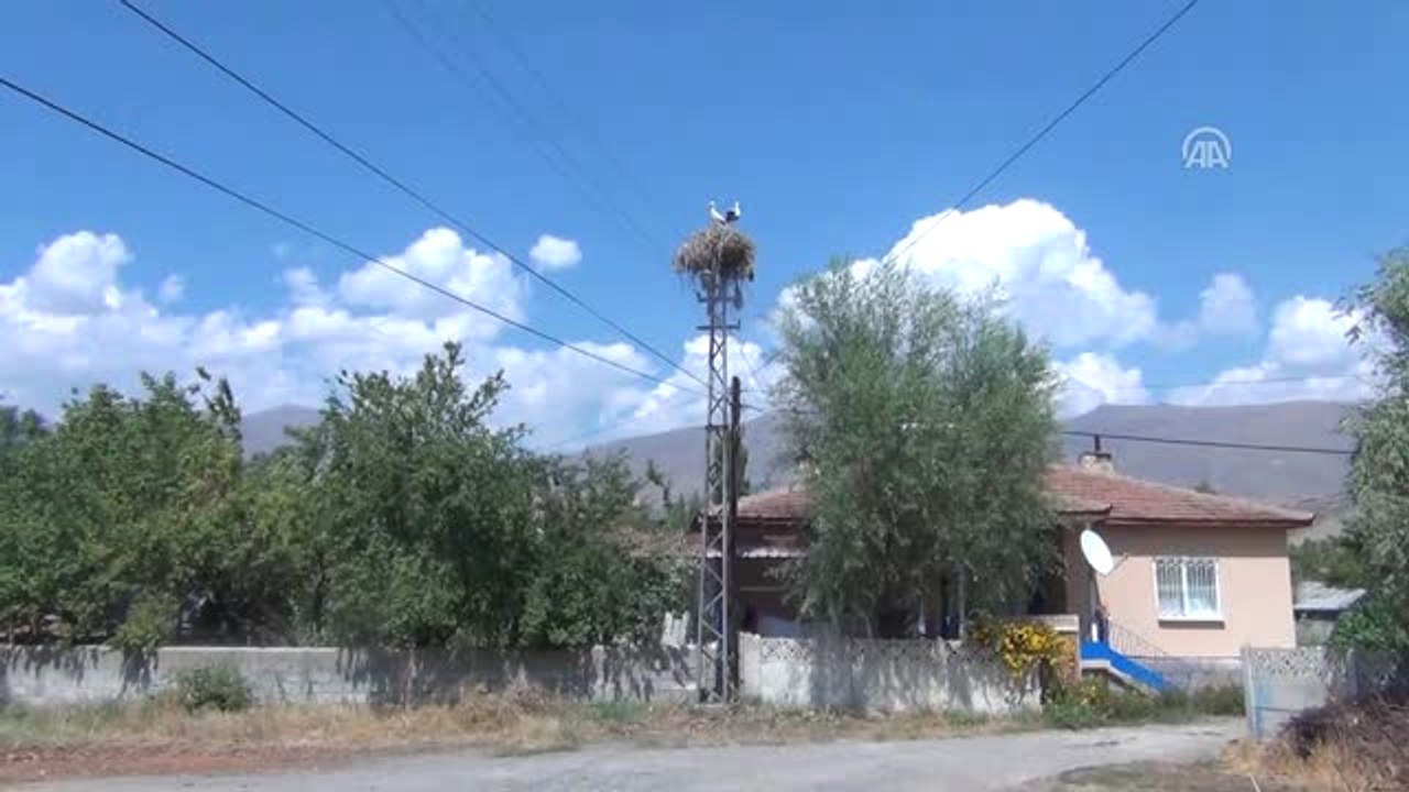 Leylek Kurtarma" Operasyonu