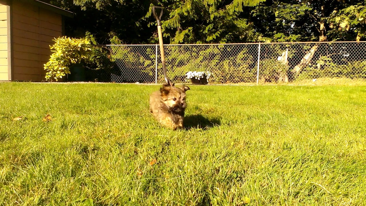 VIDEO0186