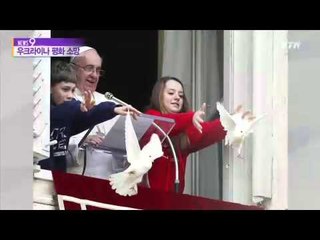 [자투리] 평화 소망 담은 비둘기, 공격당해 / YTN