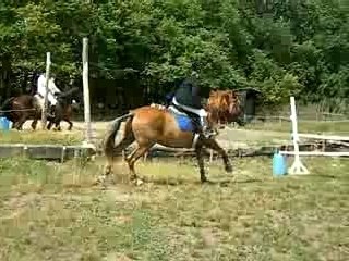 Galop 6 obstacle