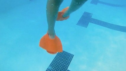 Tailfins Reinvent Swimming Gear As We Know It