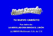 La Arrolladora Banda El Limon - Tu Nuevo Cariñito (Karaoke)