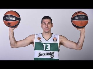 Dimitris Diamantidis Top 10 Plays