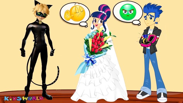 New episodes _ My Little Pony MLP Equestria Girls Transforms with Animation Love Story FLASH VS CAT ,cartoons animated Movies tv series show 2018