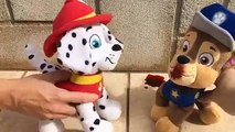New episodes _ Patrulla canina espanol CHASE SANGRA POR LA NARIZ_Videos paw patrol español cap 52 ,cartoons animated  Movies  tv series show 2018