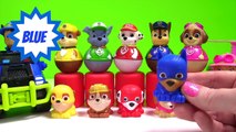 New episodes _ Best Learning Colors Video for Children - Paw Patrol Super Pup Mashems and Weebles ,cartoons animated  Movies  tv series show 2018
