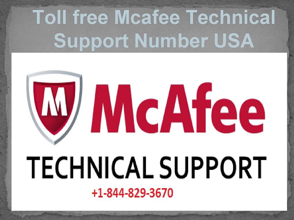Mcafee Technical Support Number