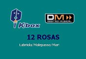 Lorenzo Antonio - Doce rosas (Karaoke)