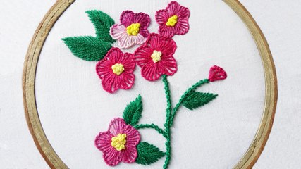 Hand Embroidery: Hand Stitch: Button Hole Stitch