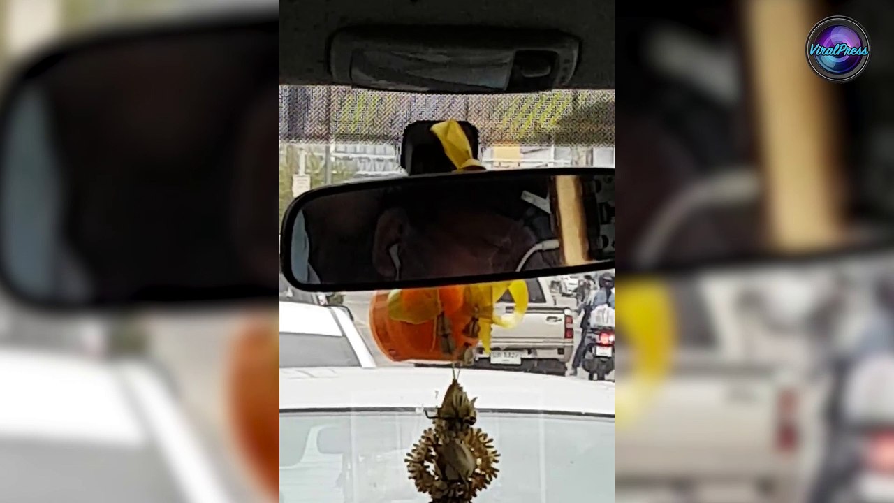 Bus Driver Caught Watching Movies Then Falling Asleep