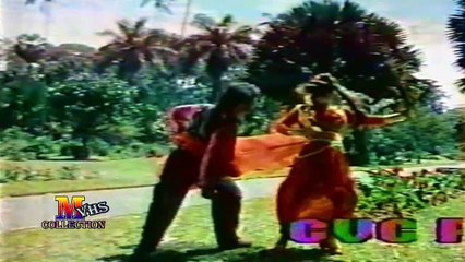 vhs collection-TERE SEENE PE JAB LEHRAY