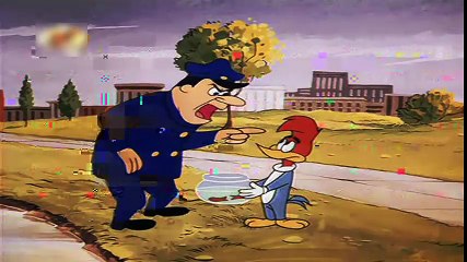 PICA PAU FOCA AS SOLTAS