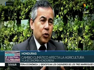 Latinoamérica se ha visto severamente afectada por el cambio climático