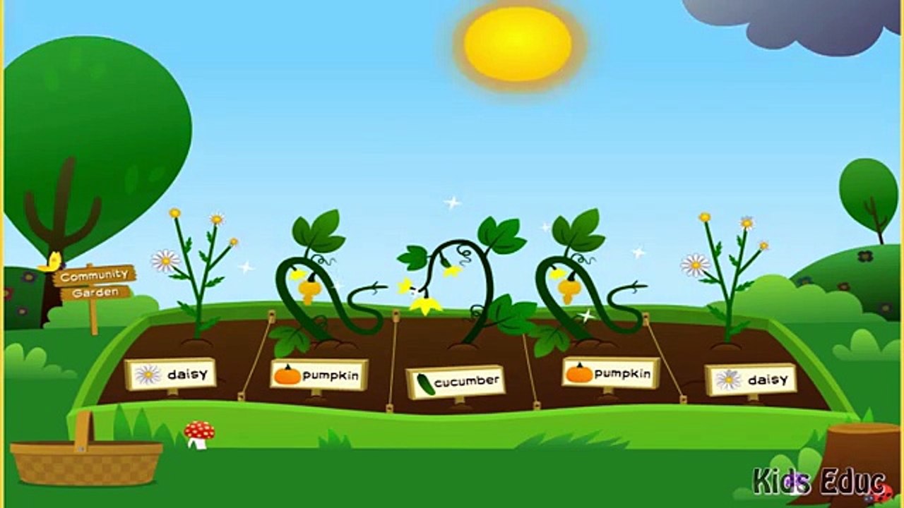 Croissance plantes et les légume drôle vidéo pour enfants plantation graines de Venez Apprendre