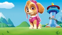 PAW Patrol Transforms Into ZOMBIE bites Paw Patrol Cartoon Nursery Rhymes