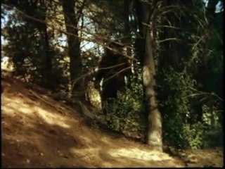 Six Million Dollar Man (Steve Vs. Bigfoot)