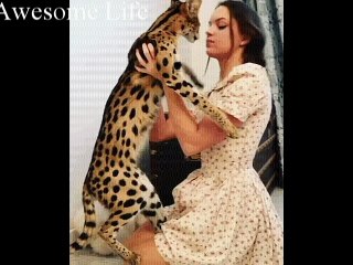 Servals make cool pets
