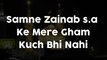 Aye Mere Bhai Raza Lyrics Mir Hasan Mir