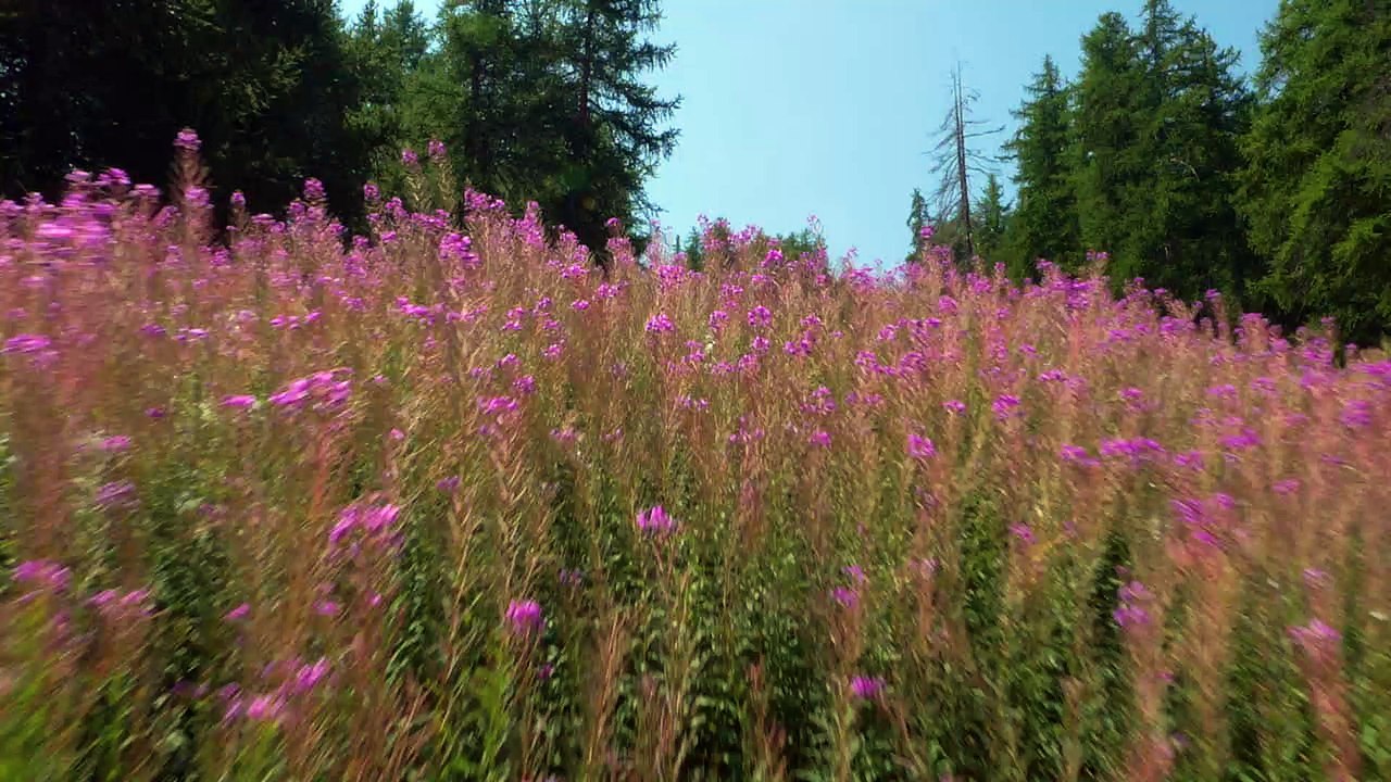 L'été n'est pas fini à Serre Chevalier Briançon