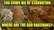 200 cows die in a 'gaushala' in Durg, Chattisgarh | Oneindia News
