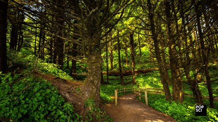 How to Safely Watch A Solar Eclipse