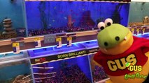 Buying First Pet Fish from PetSmart Family Fun Trip animals toys with Gus the Gummy Gator-ZNz-0v8lEbA