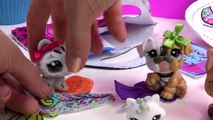LPS Mystery Surprise Handmade Blind Bags Toys Cookieswirlc Fan Mail Lot Littlest Pet Shop