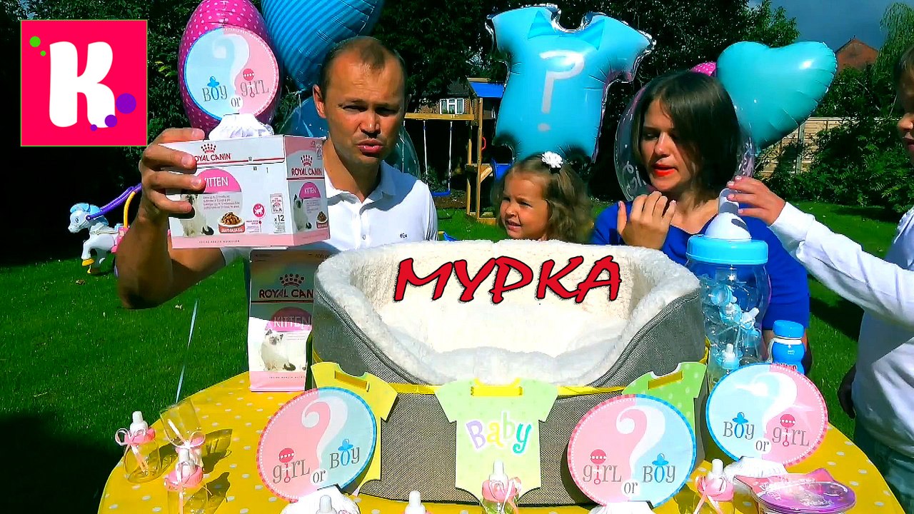 Cat baby Shower  Murka's party Сколько котят ро...